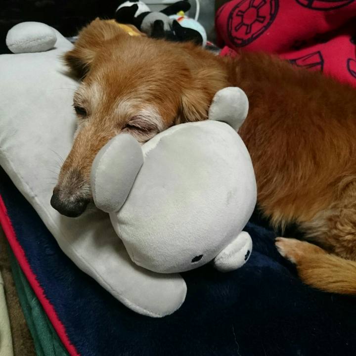 A53529cf ff98 43f2 8e7a 9ee73dcd4ea2