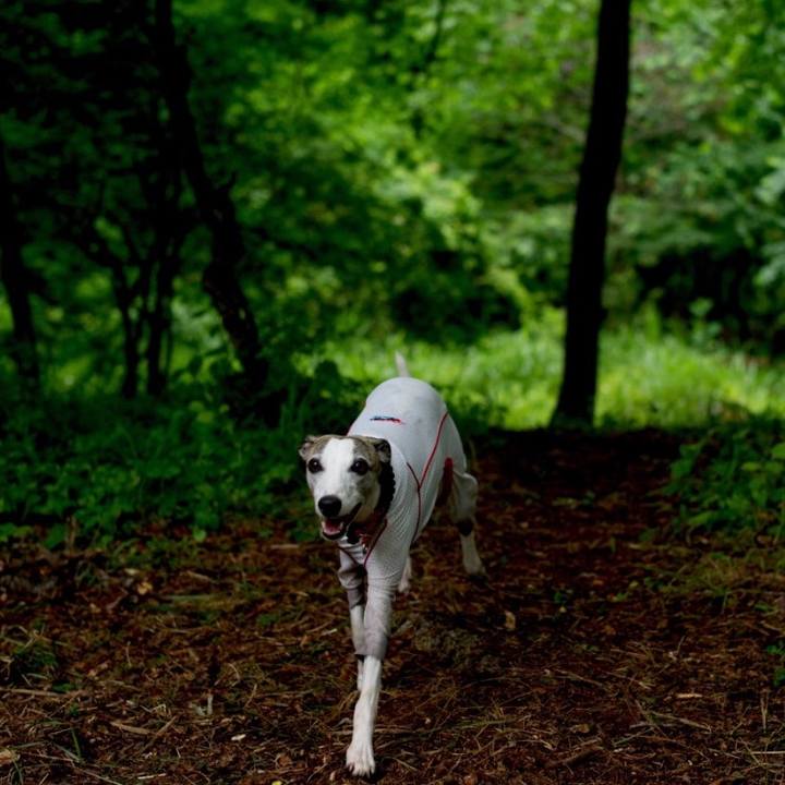 A535f727 c381 47f1 99c8 f6acfc60e734