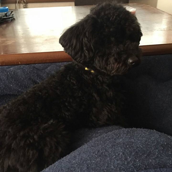 A536686c 6500 4d29 9aff 9826a2b85959