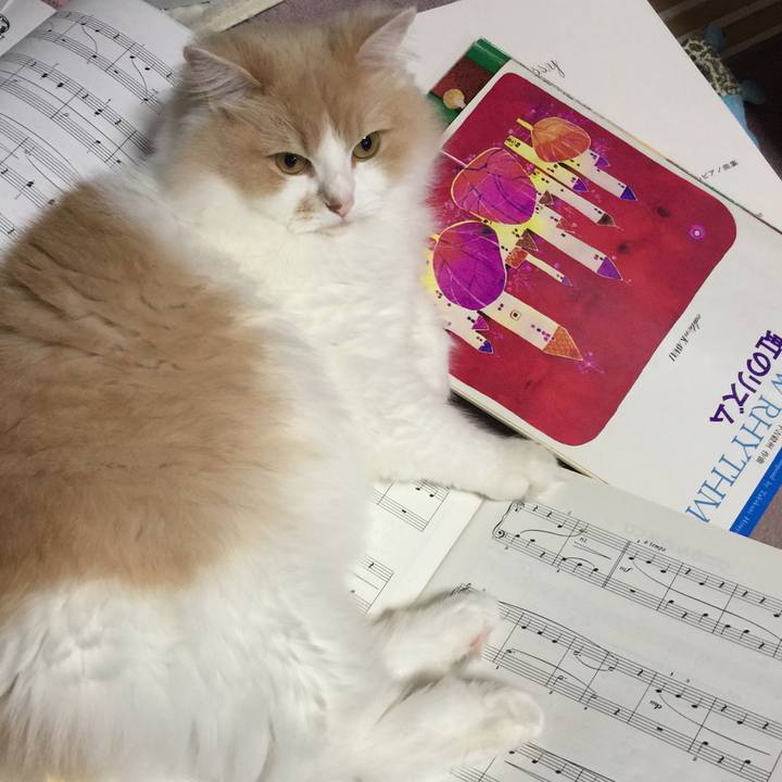 A5367669 efd1 4032 8b23 31264e54a20d