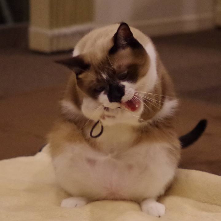 A5373932 6996 4527 b29f 5747dc684db5