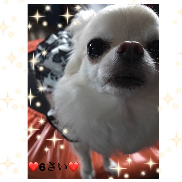 A537849a ddd1 4299 89fc f2b78e01445d