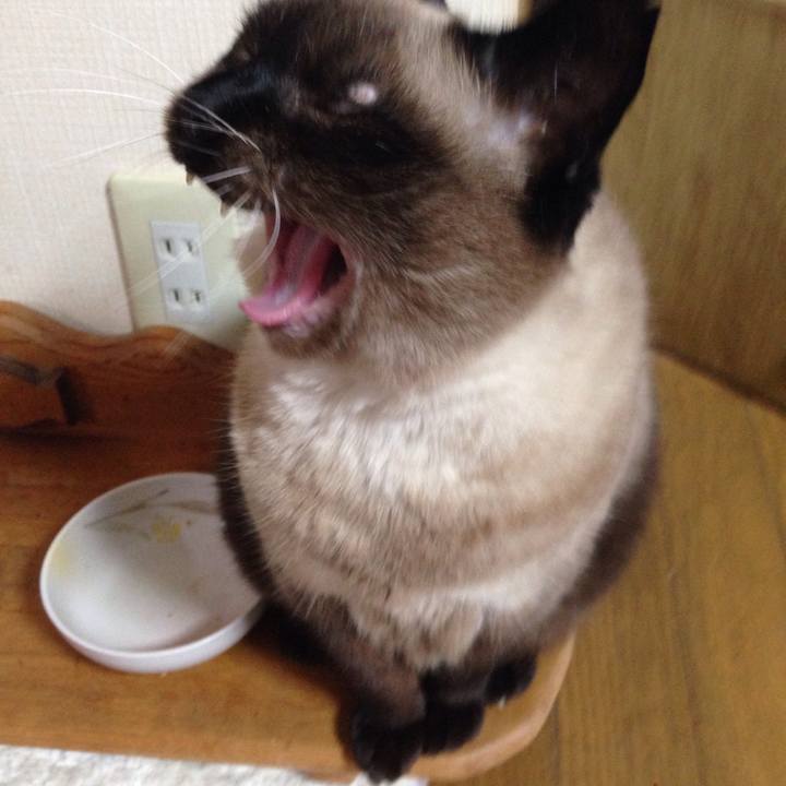 A53792cd 1412 44f5 8038 a2f7c83ec154