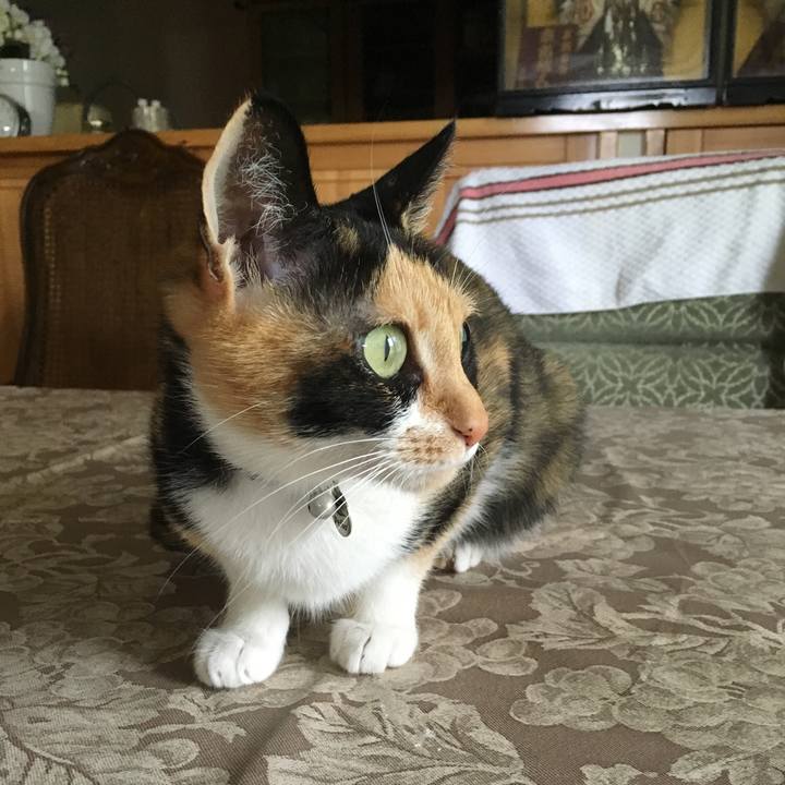 A5382798 494b 47ec 886c 30a4def120ef