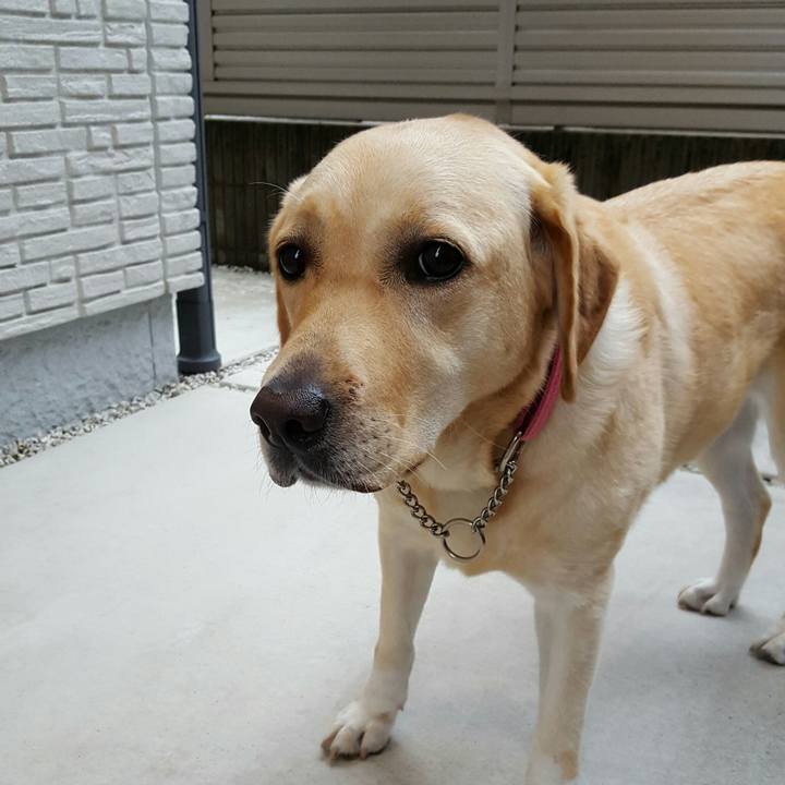 A539b4ea e6d9 4c01 be16 9809462072ca