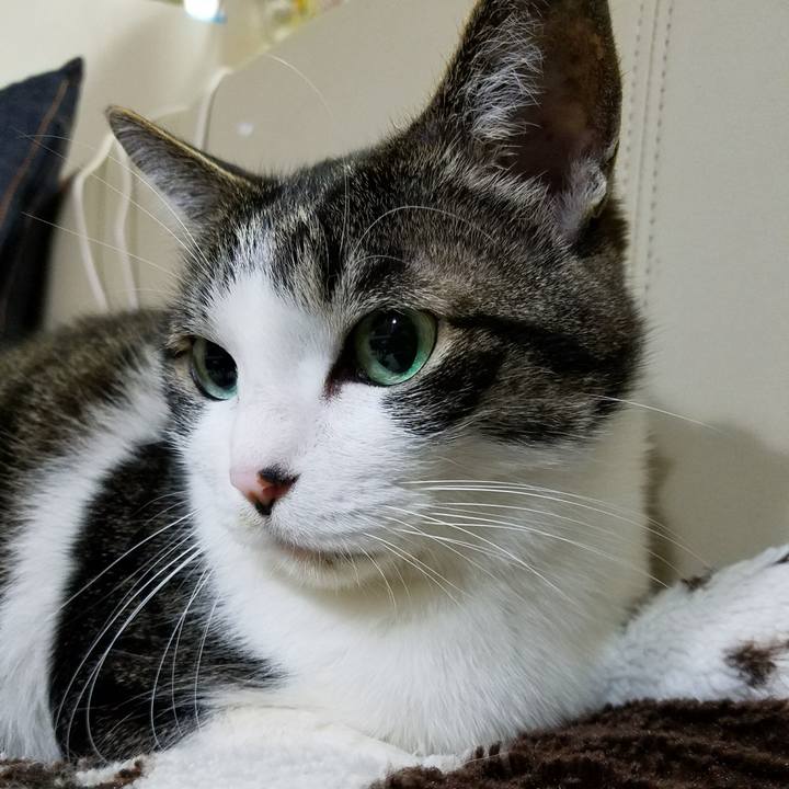 A53a7aca 8e52 4106 afea 3100d321d3c0