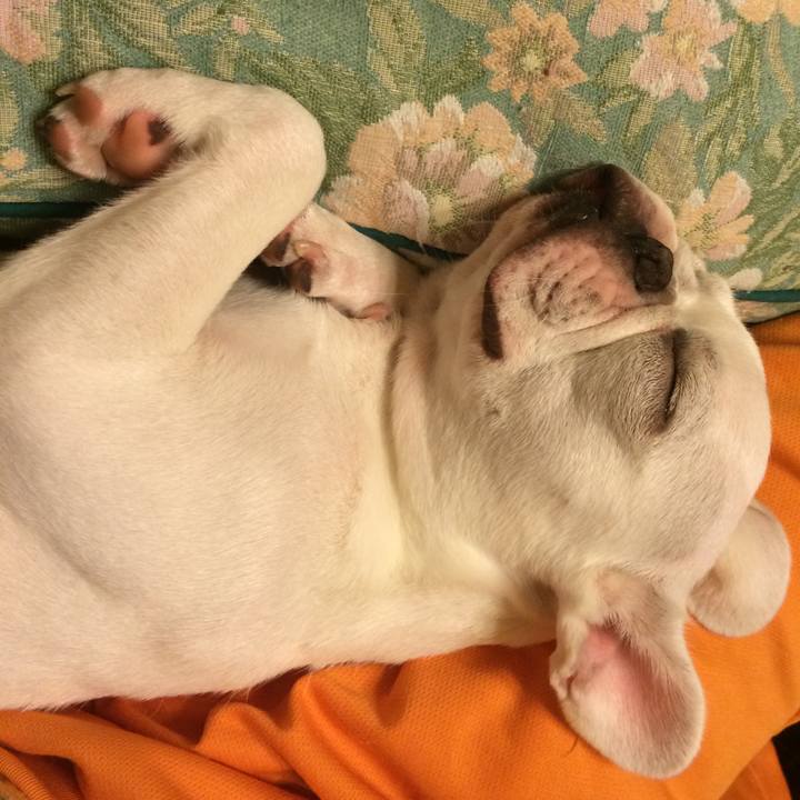 A53abb7b f916 49d9 9b5b 019bdd13bb04