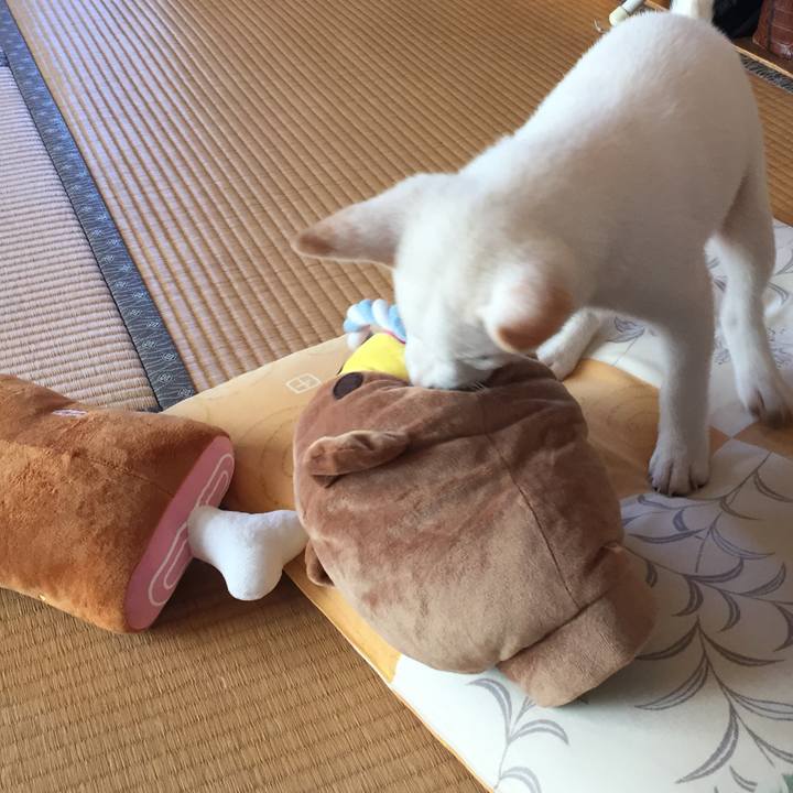 A53b689c ee85 4439 afbf 9e681be76a22