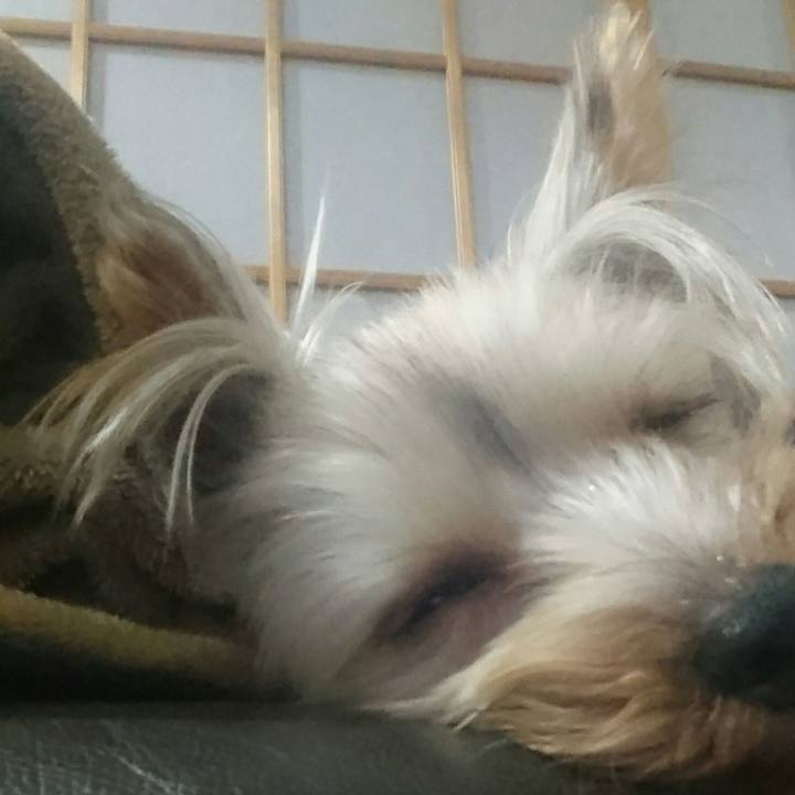 A53ce504 7541 4da0 be27 6f8523dd82a4