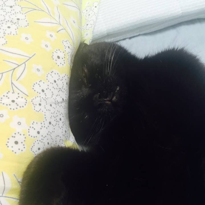 A53cfbe2 bbb4 4b02 9940 2d596455adcf