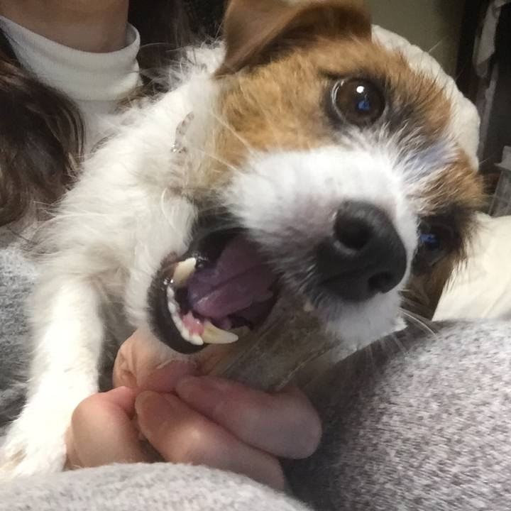 A53d4686 416f 437e a552 f0642d0dd7bd