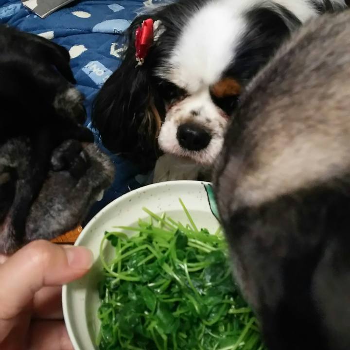 A53da2d4 2acc 4269 96d9 13ee470af2ed