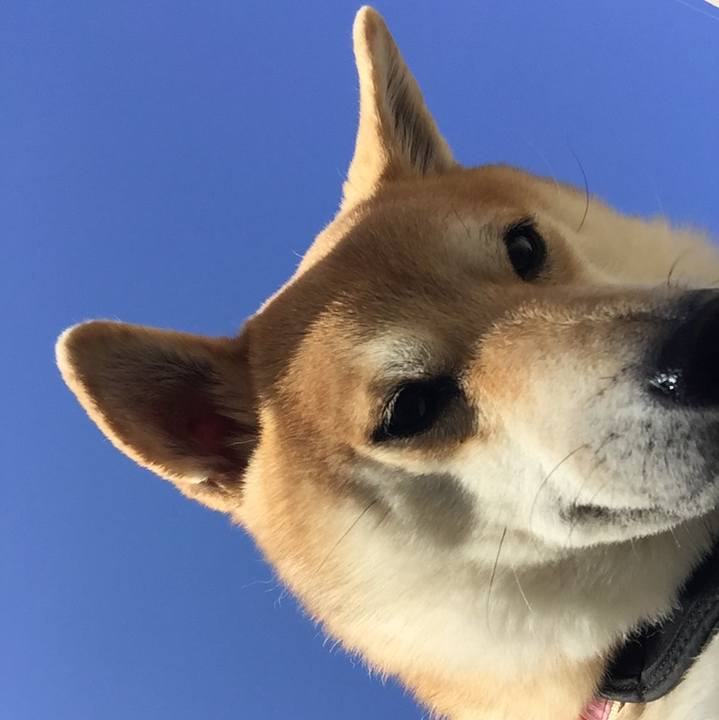 A53eea75 cc20 446c 9245 163998bbdfb8