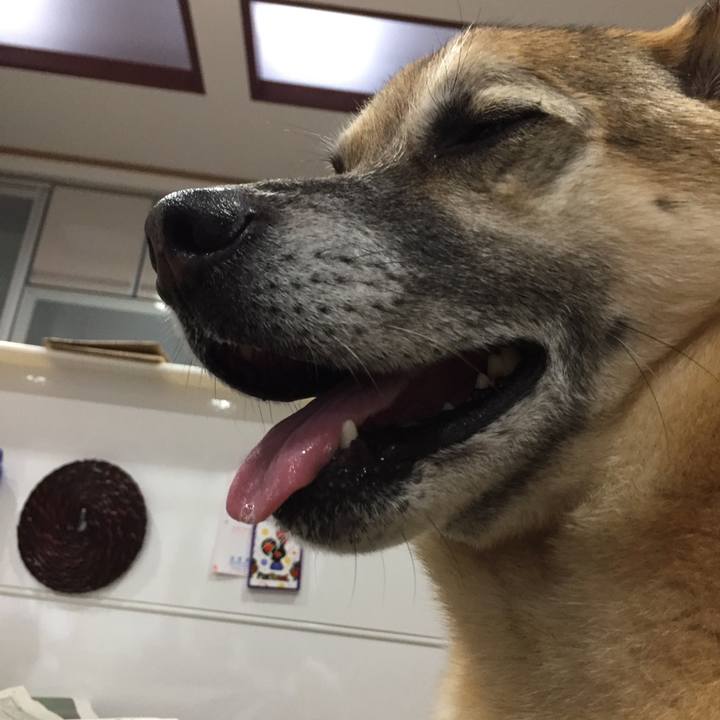 A53f21ce 103d 4160 b558 a4589204a41a