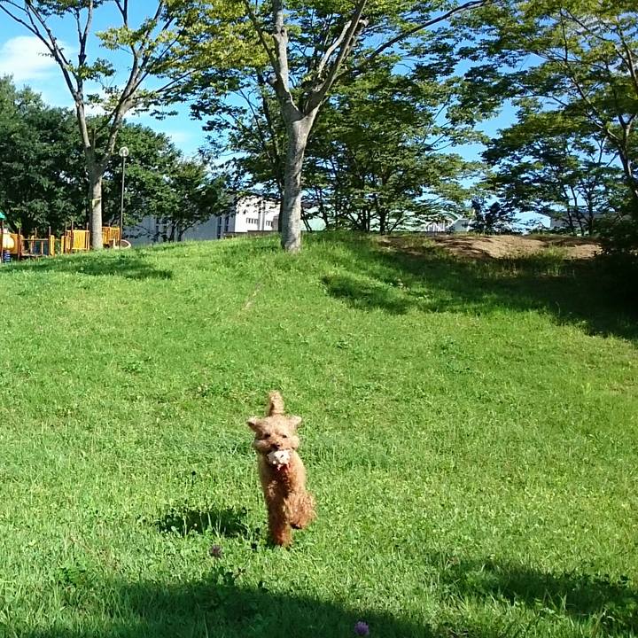 A53f5e2f 3ff6 4422 8063 0de31e3e2e62