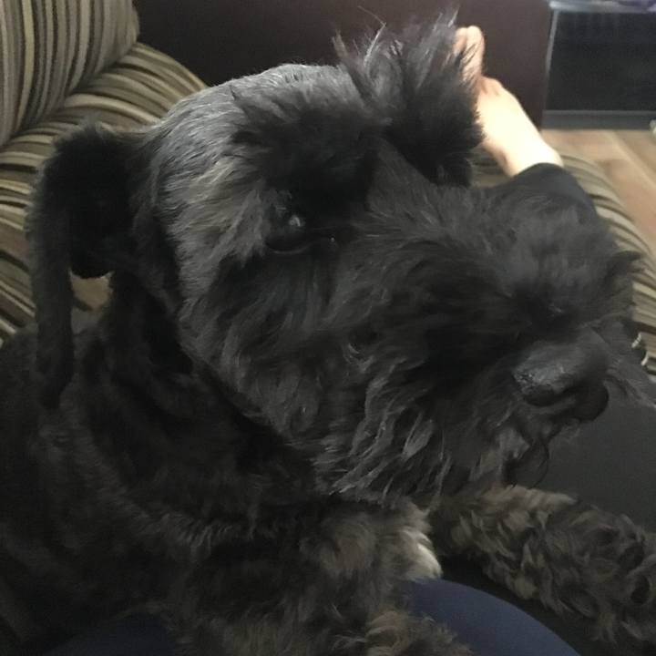 A53fb541 675b 4484 a4c3 1fdd91689752