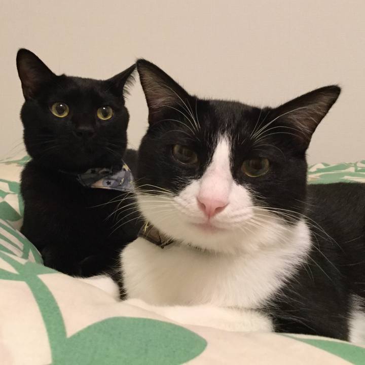 A53fbec9 7c18 4267 8c87 84480d3aa2b5