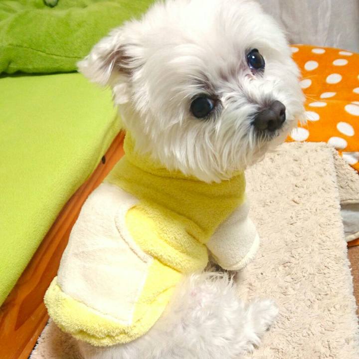 A540e633 2595 4f50 8fee ef62f3381482