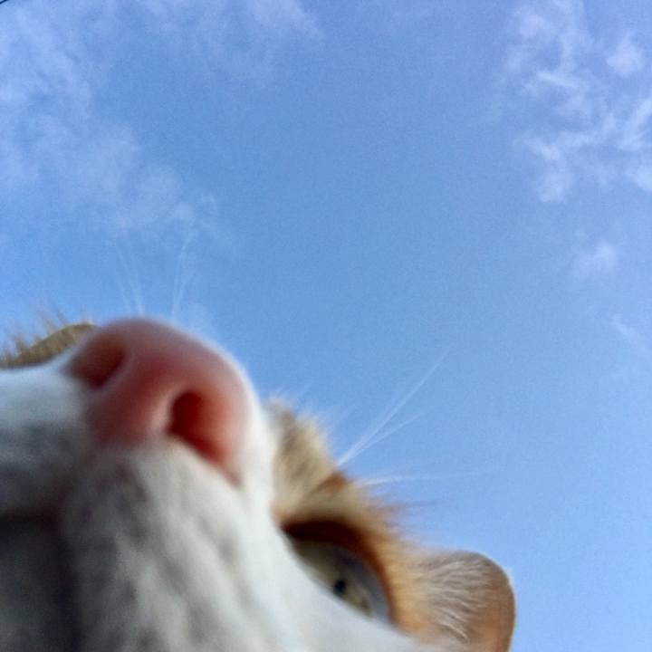 A541e07a 33f3 48e6 b2c3 311f97124bc1