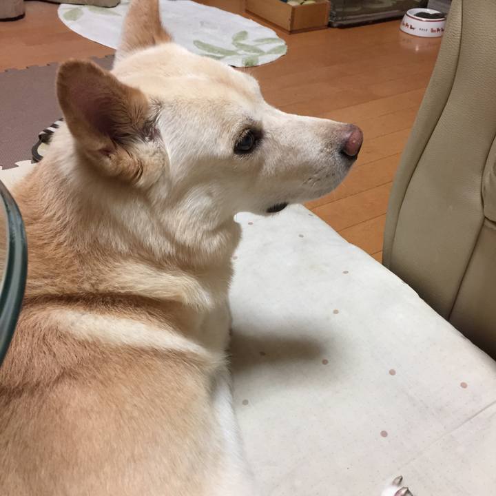 A54286a0 f924 4abe acc2 3a1d338b2704