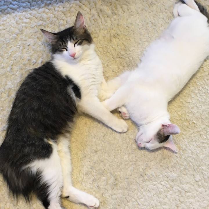 A542d0bb 7877 497e 9258 58befe9bc530