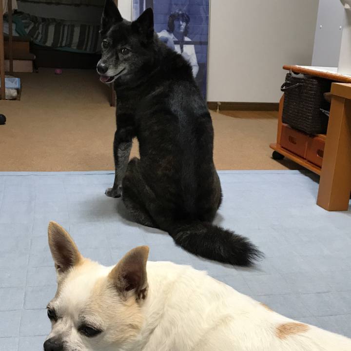 A5435e46 dafd 4220 add3 35bb53e9545a