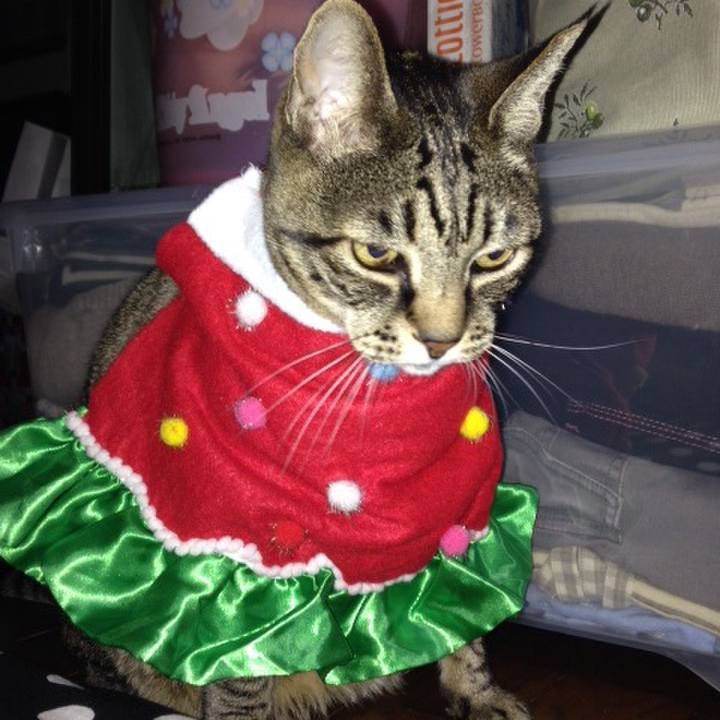 A543984d 8f28 40fa 851d 94c0c17eac8a