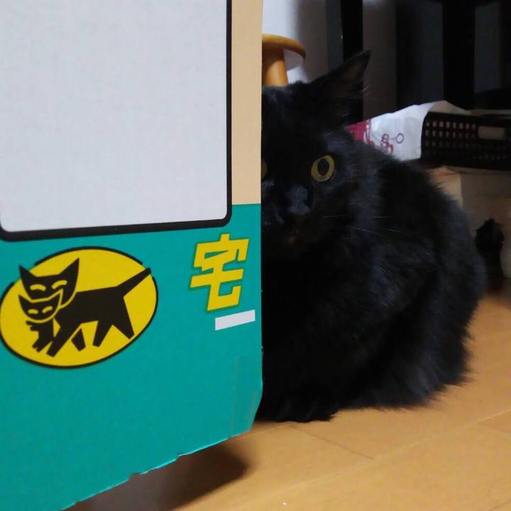 A5443238 4a71 4bc2 8c37 1d62b86bd2e9