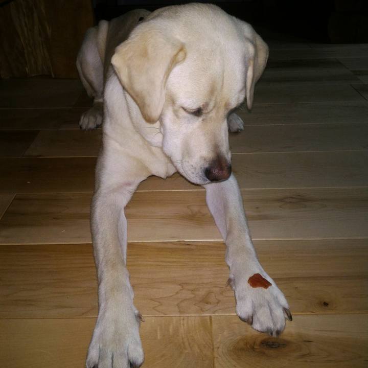 A544d7a6 b85b 40b4 90fd 5f8a741e8e0f