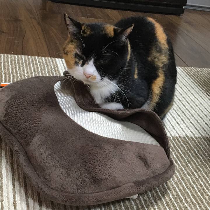 A545de1d 3799 47de a0e0 4c883a54ce80