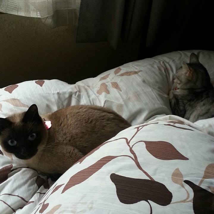 A5467c2c 0871 4a6b 9c48 3a74ccf2d0a0