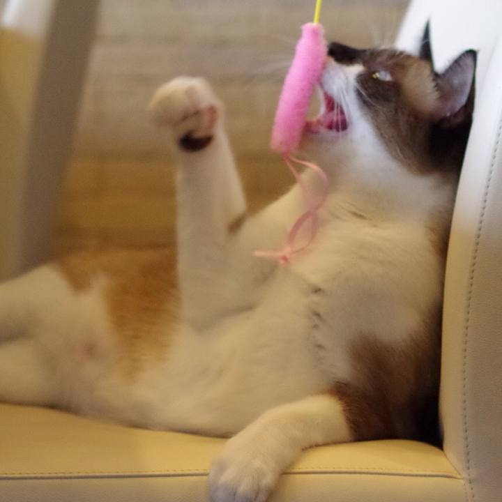 A546ceb6 9723 4873 a4a4 92fe69d8832f