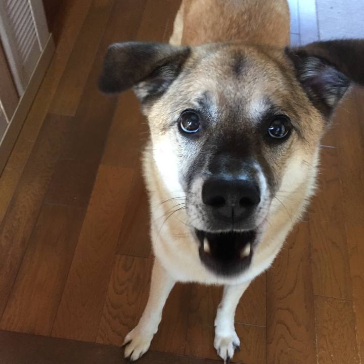 A5470be3 87a2 4b0b 9497 a9248672dda0