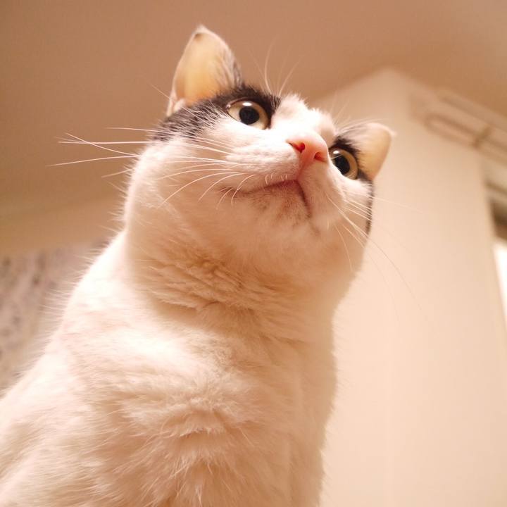 A5477f1e 6749 4579 b61a 3a50a976090a