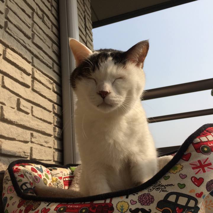 A547db66 6fca 4ef8 9d05 2b856b334944