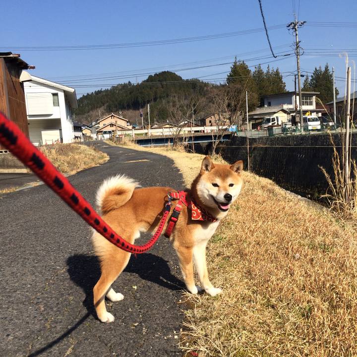 A5484bb8 0ce1 485d b99b 77e968797367