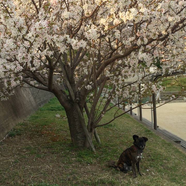 A5486189 ce84 433e bcf2 c92ba85e5eb3