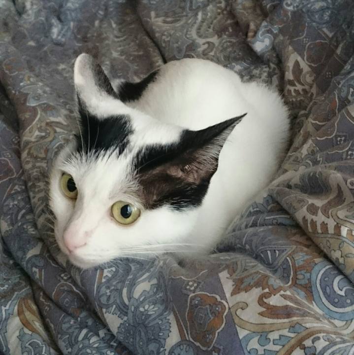 A548b3bf a7f1 4b5c 8862 e85423620050