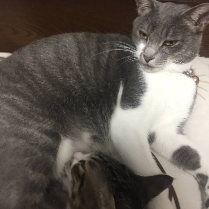 A548f09b 94d8 4da0 b7dd 3ce382476d73