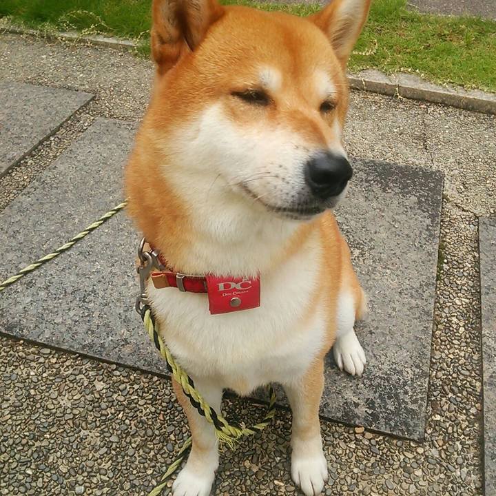 A5490458 dbd5 4776 a0b3 ea3e0d7222f5