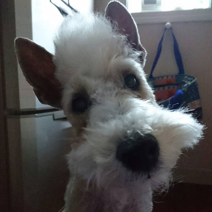 A54936db 83f9 4031 b102 84ff2246d1da