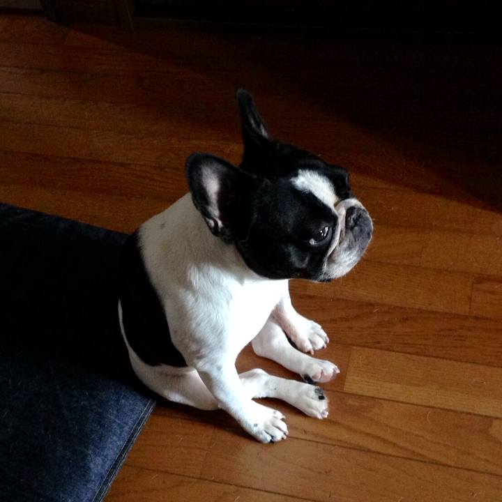 A54aeaa2 3cbe 4662 9e2d 48eec4402653