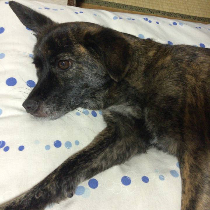 A54b0410 1c34 4e8c a79b a562eee6fa8c