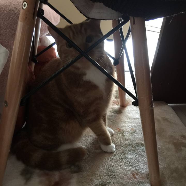 A54b6ab5 037f 4b61 aec7 b5fbcac5d2d9