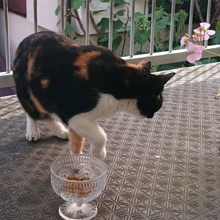 A54cdf76 dcdc 4d7c b52b cb640583f458