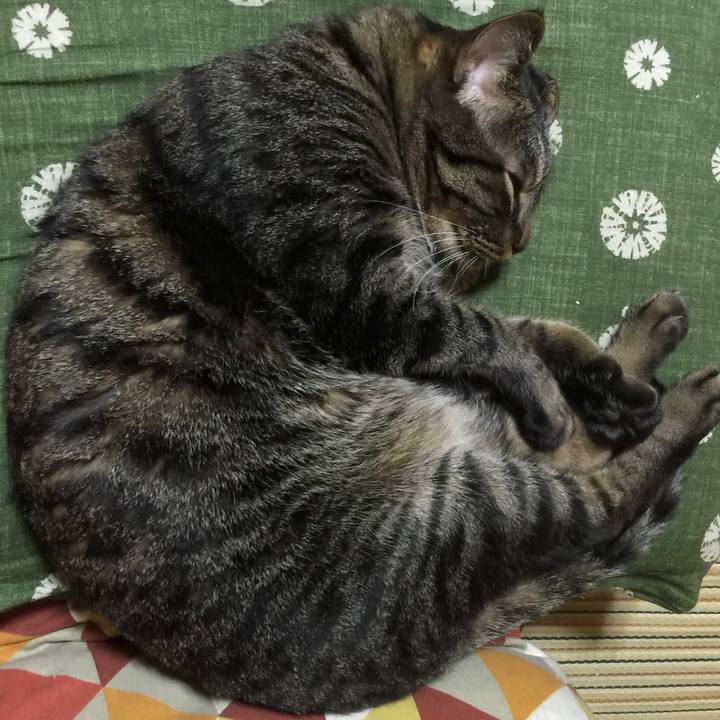 A54d0903 6c5c 45a8 b8d9 9a7a1e21b3ae