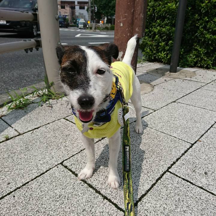 A54d9f36 2389 4f60 94f0 84db92bf4023