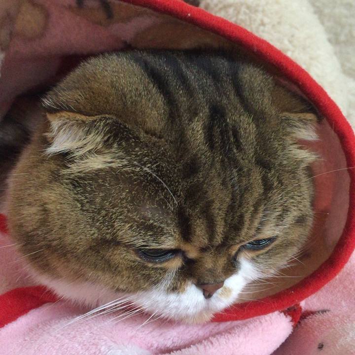 A54ed512 c877 4c14 842b ae94be5f5a2e