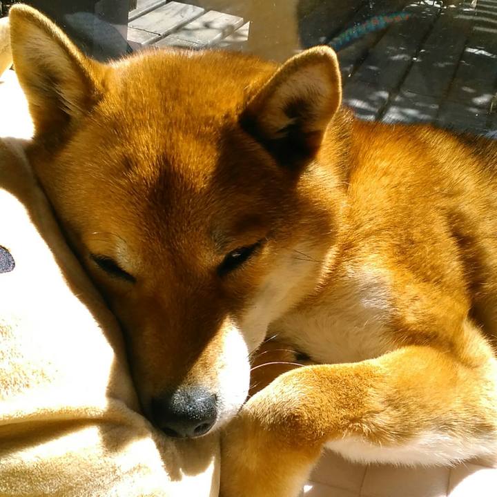 A54f0795 5b7a 414a 8b1c d6ba8ba660b1