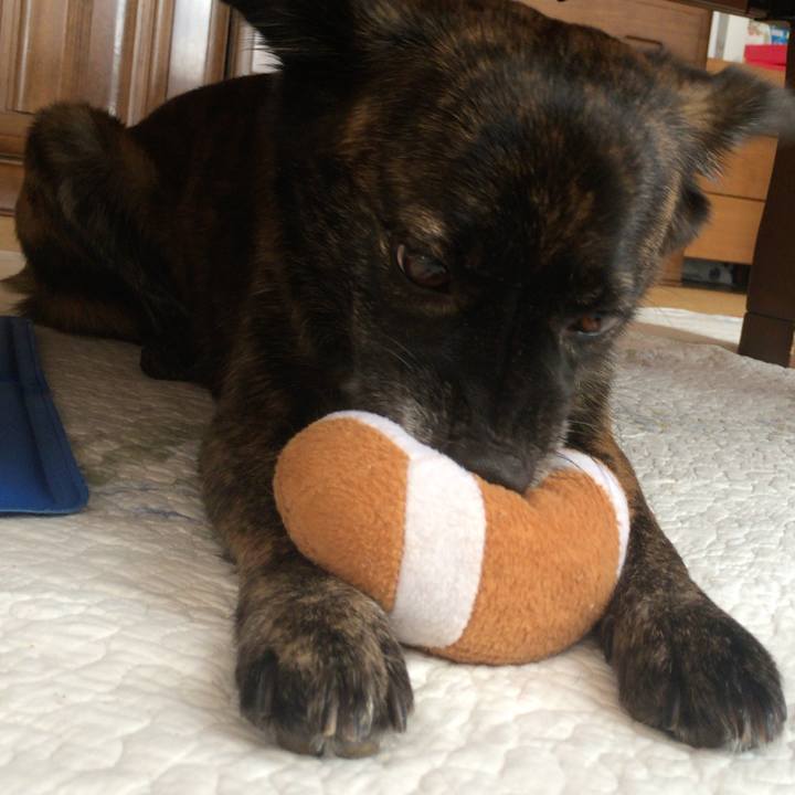 A54f51d2 ec4f 4ff3 8a10 4514e699d45a